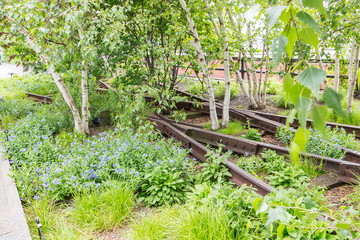 Details of the rails with birch trees in High Line Park, New York, USA 2