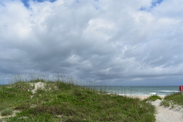 Wall Mural - sand dunes