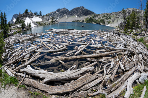 Fotografie, Obraz Fisheye view of Sawtooth Lake in Idaho with lots of logs and driftwood in foregr