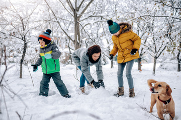 Wall Mural - Family playing in the snow