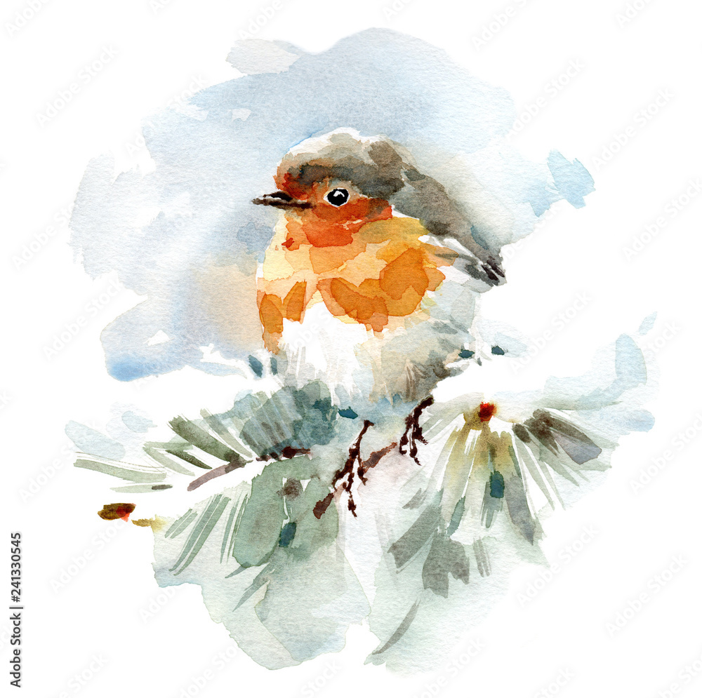 bird on a winter branch c lip art Watercolor robin sitting tree with berries. Hand painted illustration with and dog rose berries isolated on white background. Holiday clip for design, print. Christmas card Stock Illustration Winter Branch with Bird PNG