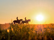 zwei Reiter beim Sonnenntergang