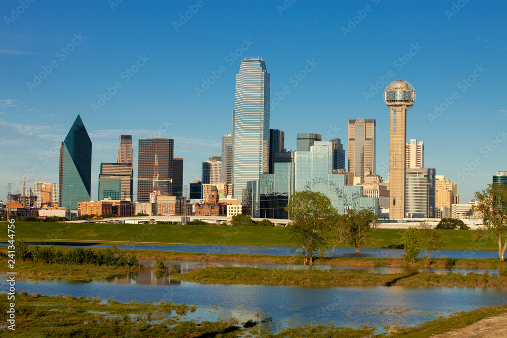 Photo Art Print Downtown Dallas Texas During The Day