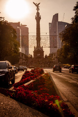 Wall Mural - ciudad de mexico