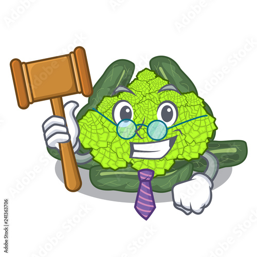 Fényképezés Judge roman cauliflower isolated on the mascot