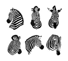 Set Of Zebras Head. Savannah Animal Ornament. Wild Animal Texture. Striped Black And White. Vector Illustration Isolated On White Background.