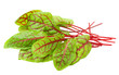 Red veined sorrel leaves on white background, clipping path, full depth of field
