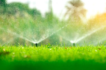 Automatic Lawn Sprinkler Watering Green Grass. Sprinkler With Automatic System. Garden Irrigation System Watering Lawn. Water Saving Or Water Conservation From Sprinkler System With Adjustable Head.