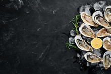 Oysters With Ice And Lemon On Black Stone Background. Seafood. Top View. Free Copy Space.
