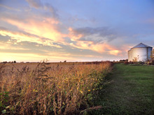 Midwestern Farm With Silo And Soybean Field At Sunset