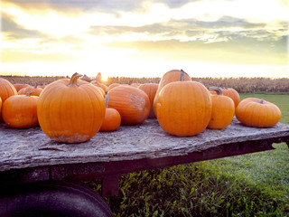 pumpkins on a hayride wagon at sunset
