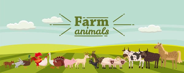 Farm animals and birds set in trendy cute style, including horse, cow, donkey, sheep, goat, pig, rabbit, duck, goose, turkey, rooster,ram, dog, cat, bull and chicken, isolated on rural landscape, farm