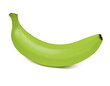 Fresh ripe green banana isolated on white background. Vector 3d illustration