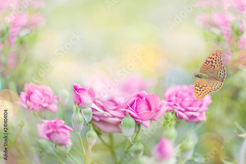 Pink Roses In The Garden Photo With Low Depth Of Field