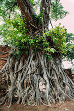 Thailand, Ayutthaya, Buddha Head In Between Tree Roots At Wat Mahathat