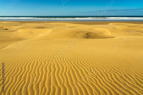 Plakat plaża Kaouki na atlantyckim wybrzeżu Maroka
