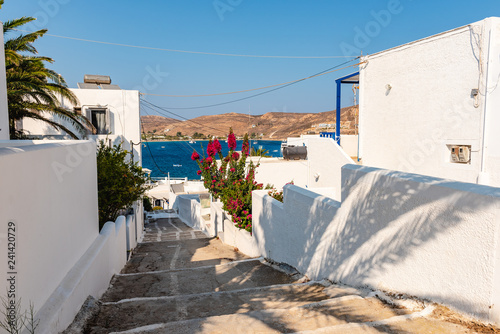 Dekoracja na wymiar  piekna-grecka-ulica-z-letnimi-kwiatami-w-sloneczny-dzien-wyspa-serifos-grecja