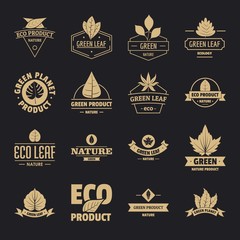 Poster - Eco leaf logo icons set. Simple illustration of 16 eco leaf logo vector icons for web
