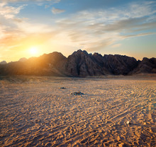 Footprints In Desert