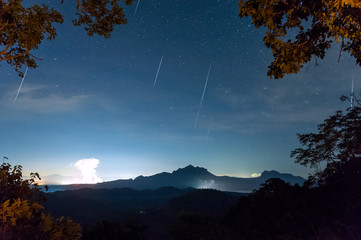 Wall Mural - geminids meteor shower