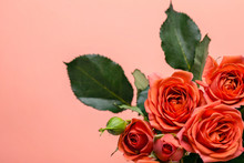 Greeting Card Or Invitation. Beautiful Bouquet Of Mini Coral Roses