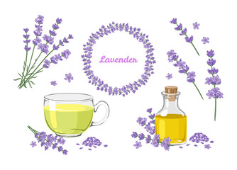 Wall Mural - Lavender flowers. Set of floral design elements. Wreath, bouquet of lavender branches, tea, essential oil isolated on white background. Vector illustration in cartoon flat style.