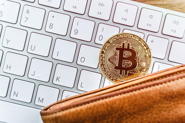 Poster - Cryptocurrency Bitcoin. Digital money for banking and international network payment. Wallet with blockchain concept.
