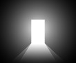 © releon8211 - Open door with light on black background. Light through the open door. Vector illustration.