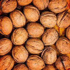 Wall Mural - walnuts on a autumnal background