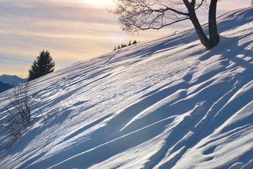 beautiful sunset in snowy hill w ows on the snow and silhouette of a tree