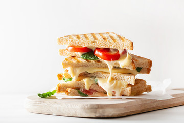 grilled cheese and tomato sandwich on white background