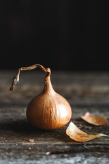 Wall Mural - Fresh onions on rustic wooden background. Onions background. Ripe onions. 