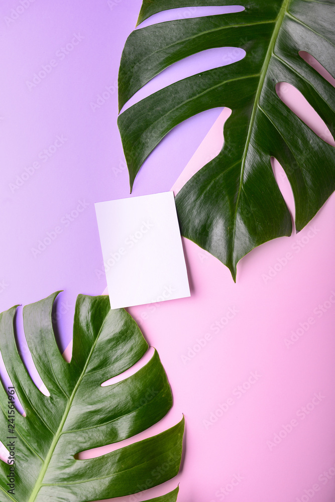 Green tropical leaves and blank card on color background
