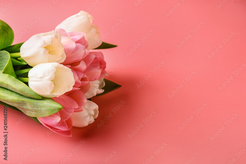 Bouquet of fresh tulips on coral background