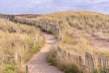 Fototapeta Na ścianę - French landscape - Bretagne. Small path with dunes and grass.