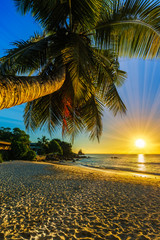 Wall Mural - beautiful romantic sunset with a palm in paradise, seychelles beach 11