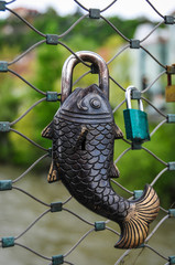 Fish lock on fence of bridge