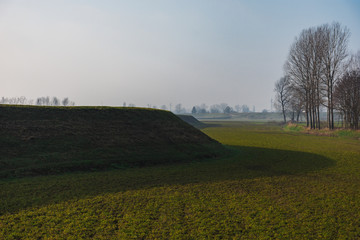 Wall Mural - curves in the floodplain