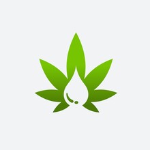 Cannabis Oil Vector
