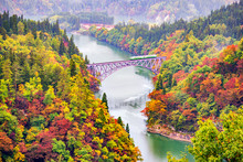 JR Tadami Line Train On The Bridge Across Tadami River With Colourful Maple Tree On Hillside In Autumn, Fukushima, Japan