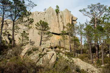 Wall Mural - amazing rock on the Corsica