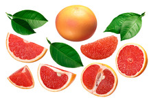 Grapefruit Whole And Sliced, Leaves, Paths