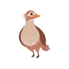 Wall Mural - beautiful bird vector illustration on a white background