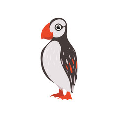 Wall Mural - colorful beautiful puffin bird vector illustration on a white background
