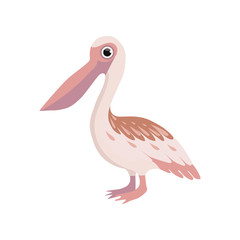 Wall Mural - beautiful pelican bird vector illustration on a white background
