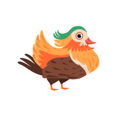 Wall Mural - colorful bright beautiful bird vector illustration on a white background
