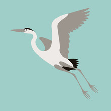  Heron Flying , Vector Illustration , Flat Style, Profile 