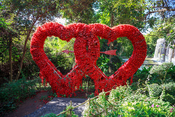 two hearts from flowers, Valentine's Day, February 14,