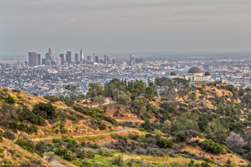 Wall Mural - Griffith Observatory and the Skyline of Los Angeles