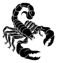 Scorpion Scorpio Zodiac Animal Sign Design Graphic
